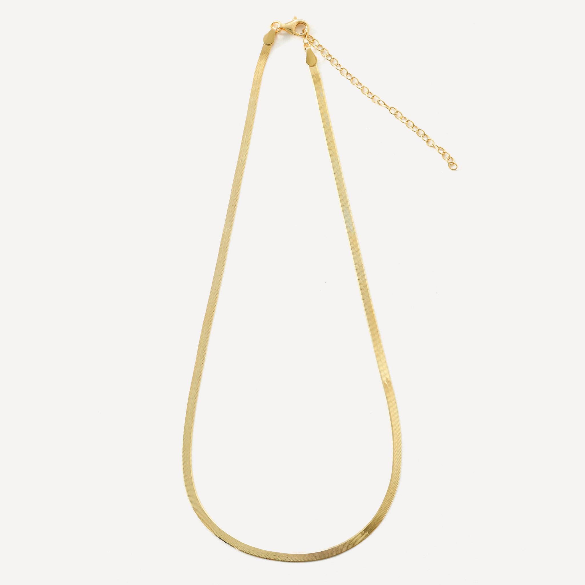 Flat Snake Chain Necklace