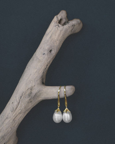 Pearl Earrings featured image