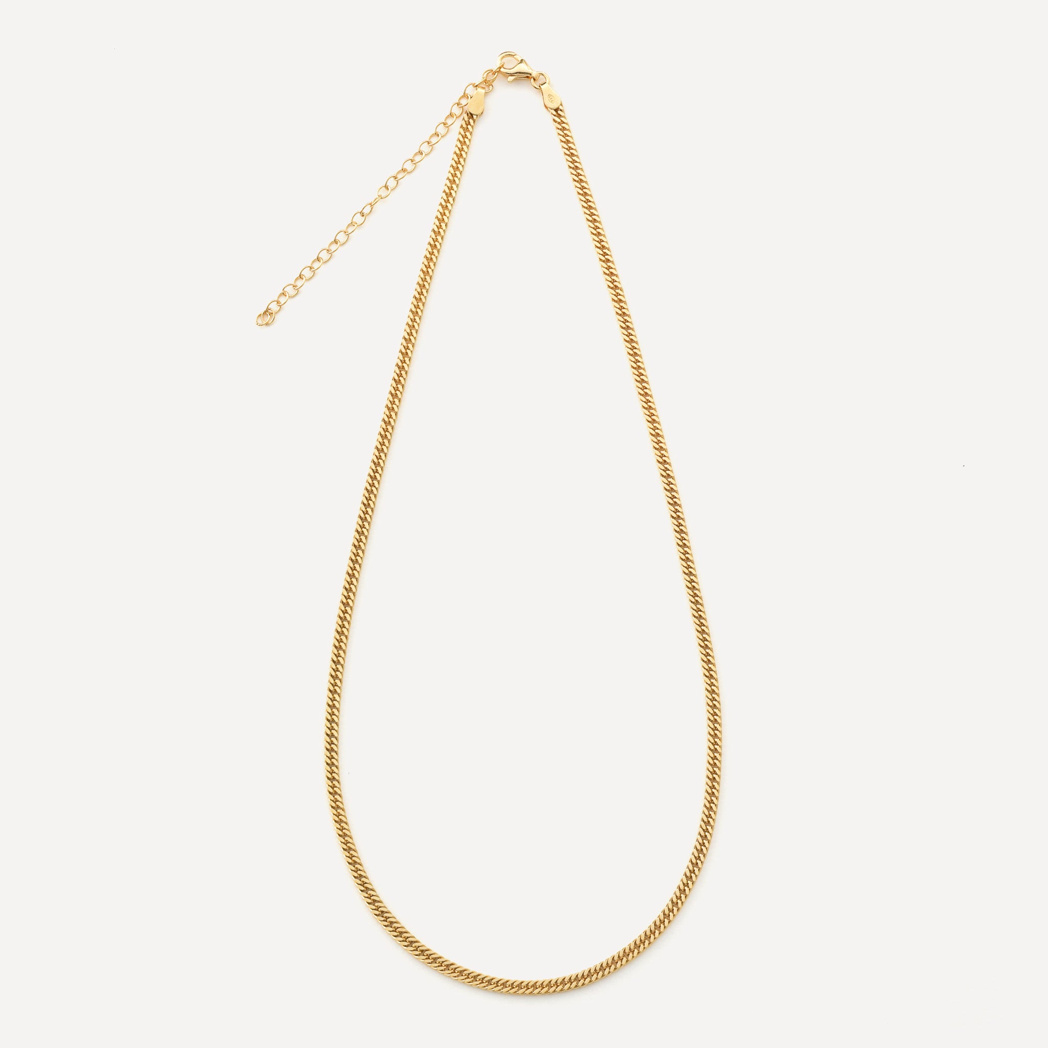 Heavy Curb Chain Necklace