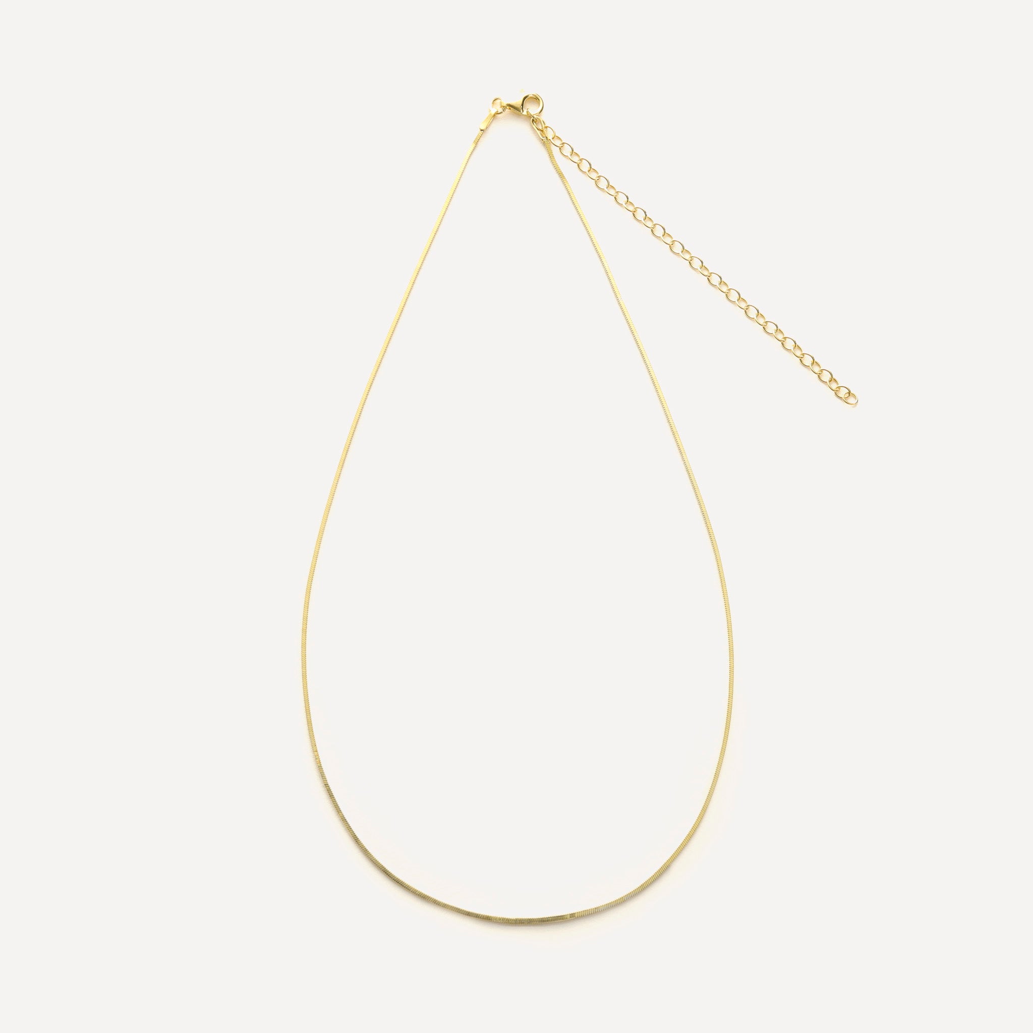 Snake Chain with extension